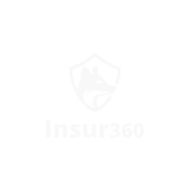 Insur360